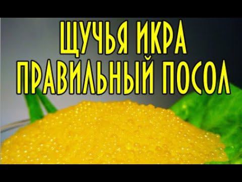 Щучья икра, самый правильный и вкусный посол Наш таежный опыт #домавместе