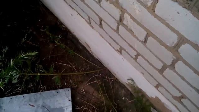 Ловля змей!  Эмоции просто ржака