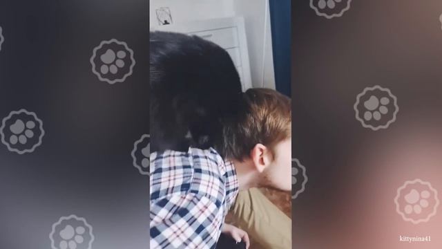 Cats Love Their Owner On A Different Level But It's Real Love