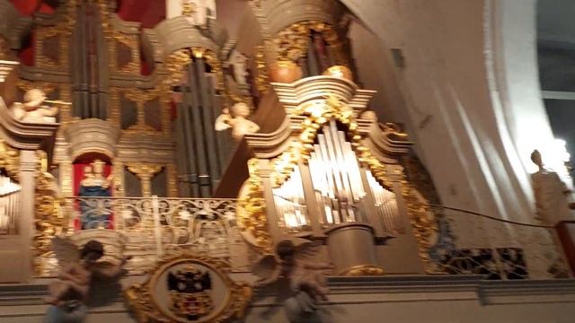 Окончание органного концерта в Кафедральном соборе.