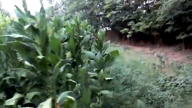 Конец сезона близко, что делать
