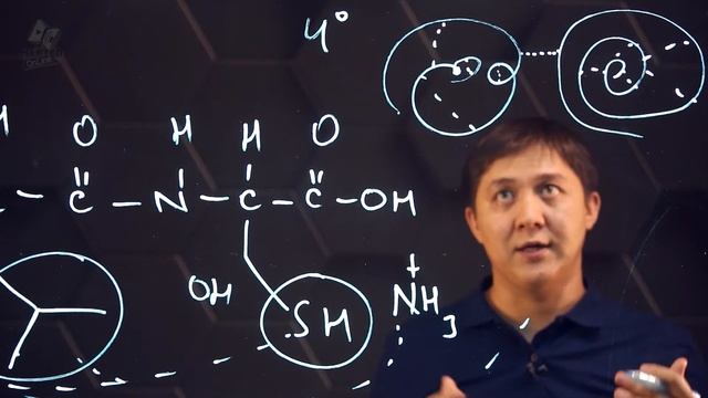 Аминокислоты. Белки. 2 часть. 9 класс.