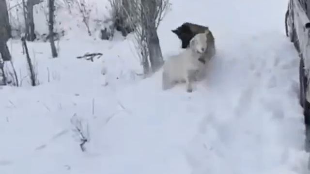 по этапу