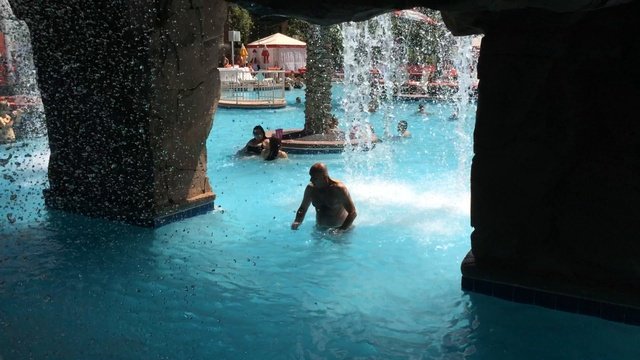 Flamingo 2014 pool waterfall