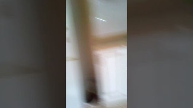 Мы не подозревали что в супе жир