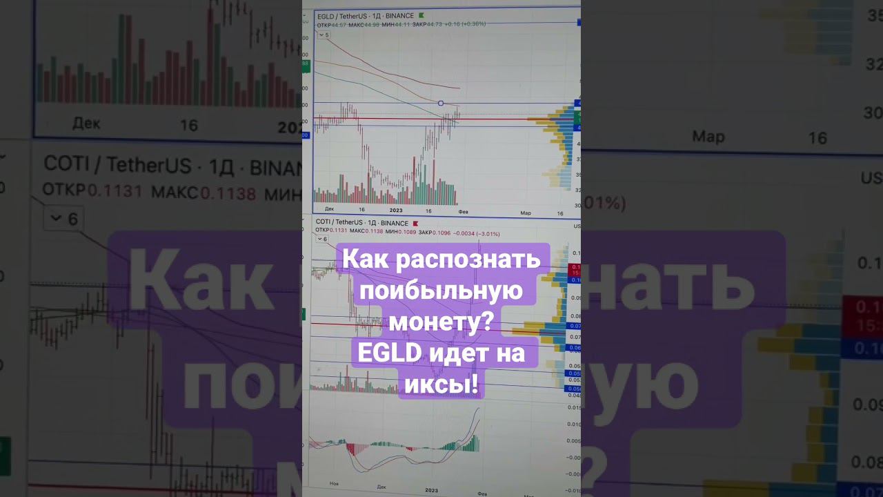 Как распознать поибыльную монету?EGLD идет на иксы!