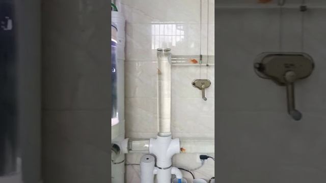 Необычный аквариум