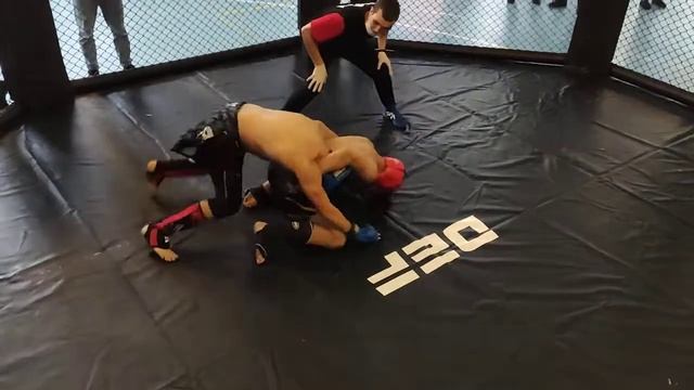 Dominator Extreme Fight 13 -52