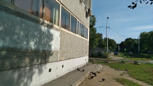120. г. Хабаровск.  ул. Кубяка. 17.09.23.