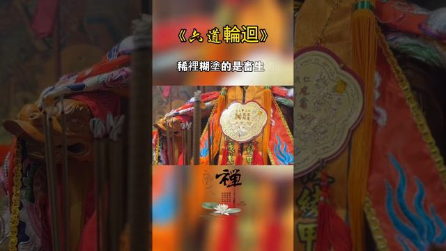 【仁武子龍宮】每星期五 晚上7點 開始 | 仁武子龍宮 主公 九龍太子金剛菩薩 |濟世 問事