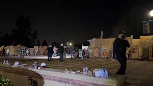 Полиция Лос-Анджелеса ворвалась в пропалестинский протестный лагерь