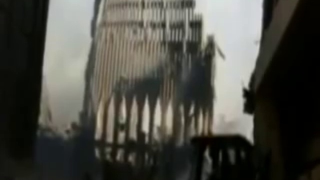 Лабрадор.
