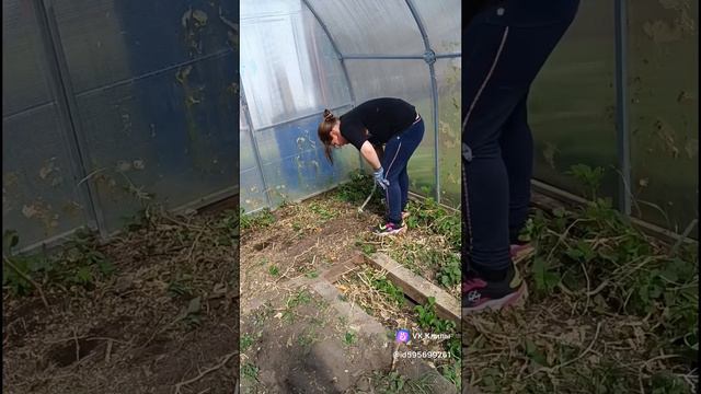 дочка помогает чистить огороды