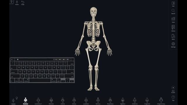 Complete Anatomy for Educators - 08 Using keyboard shortcuts