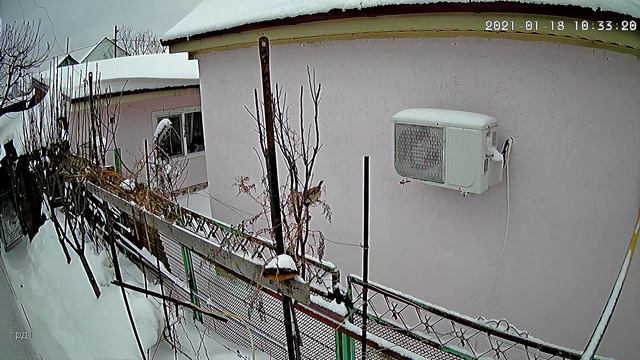 Полевой воробей (лат. Passer montanus)