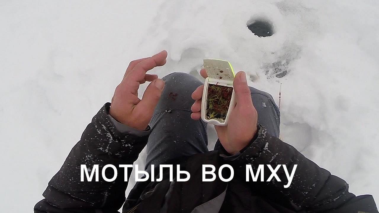 Как хранить мотыля зимой для рыбалки..
http://rybachil.ru