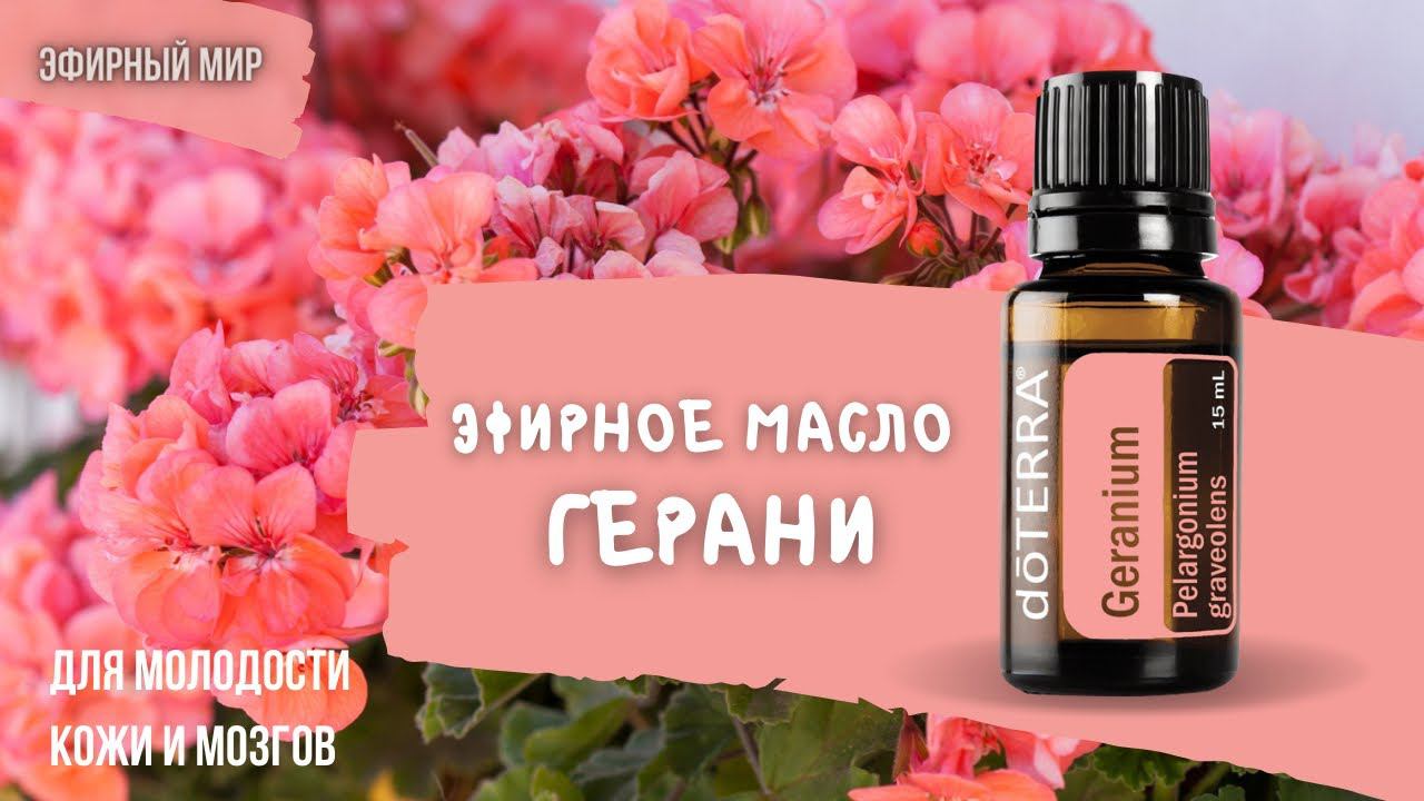 Эфирное масло - герань | Красивая кожа, помощь при ПМС, выравнивание эмоций
