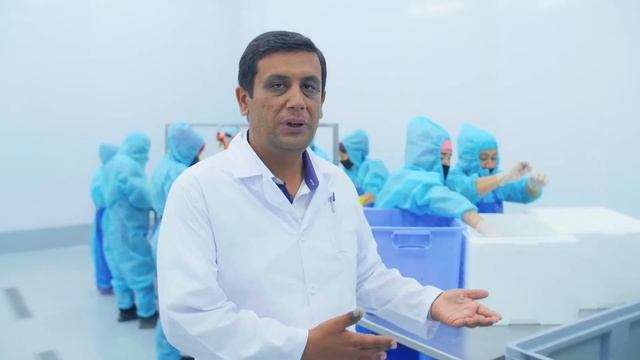 Цех по переработке рыбы - fishville