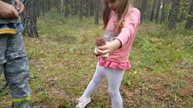 В лесу. Белые грибы. Ч.4