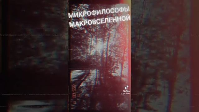 Микрофилософы макровселенной