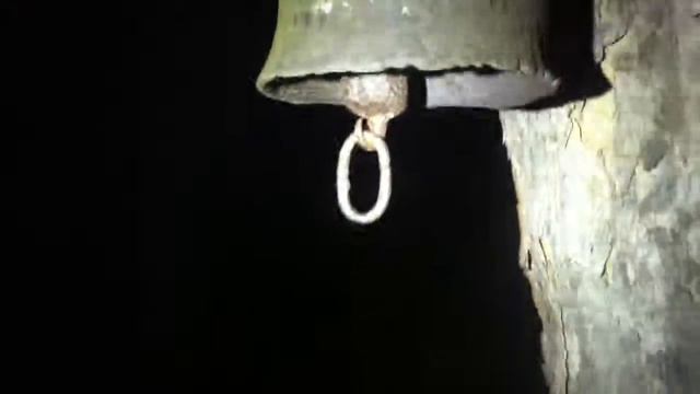 Колокол 1858 года врос в дерево.Винница