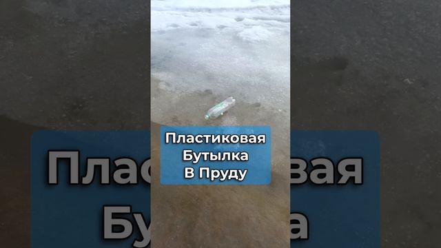 Plastic bottle in a pond - garbage/rubbish