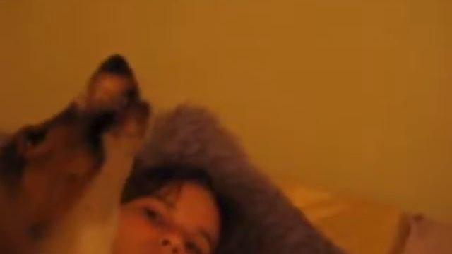 The BEST Dog Howl EVER Glows in the Dark!!!!!!!!!!!!