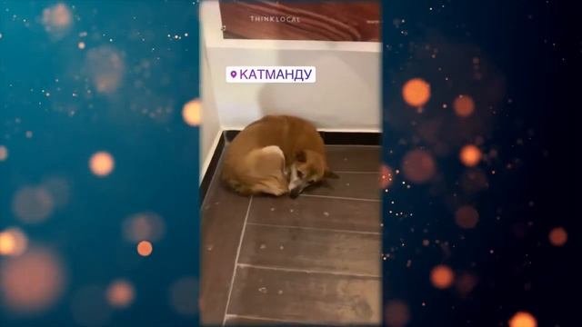 Снежана Тихонова Тайна Катманду Непал.