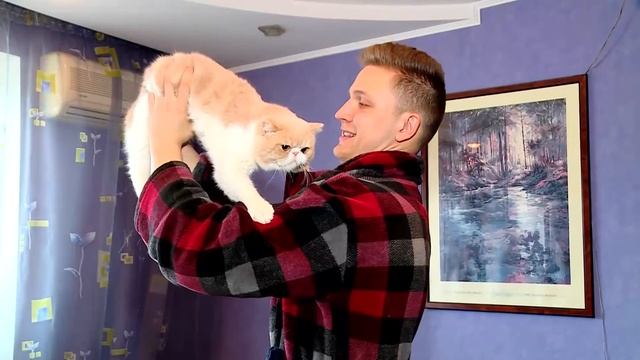 С кем лучше жить? С котом или собакой? Сложный выбор!  [Кот vs Собака]