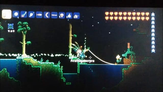 Terraria!