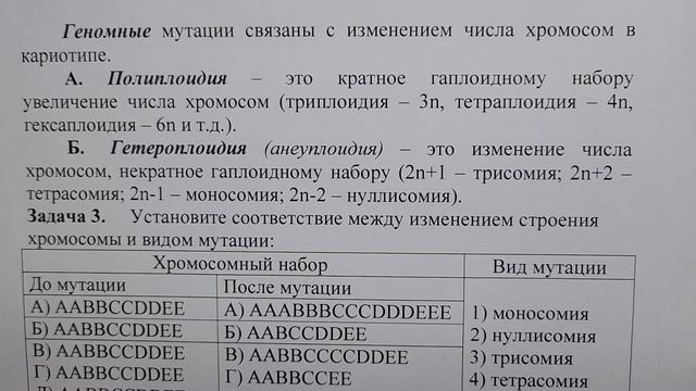 Генетика.  Задачи.  Часть 10.  Мутации.