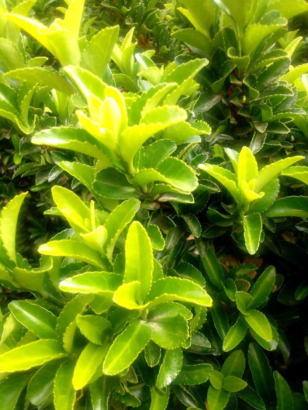 эксперементы