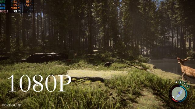 Sons Of The Forest RTX 2070 Super Gamplay Benchmarks | 1080p 1440p 2160p