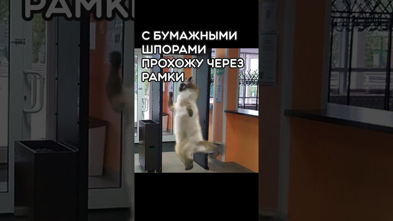 ПОВ: ДЕНЬ ЭКЗАМЕНА #котики #футаж #пов #мойдень #экзамен
