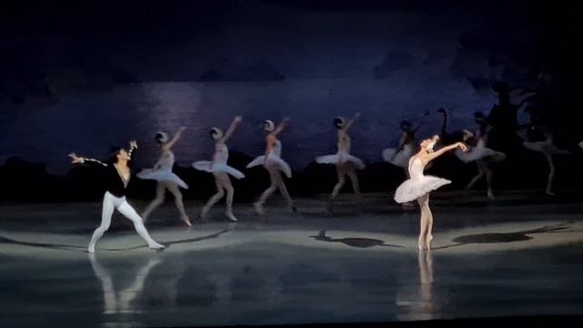 14.10.2020.Swan lake(Лебединое озеро, 백조의 호수) Kimin Kim(Кимин Ким, 김기민)