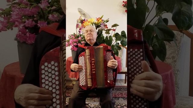 Лебеди летят.