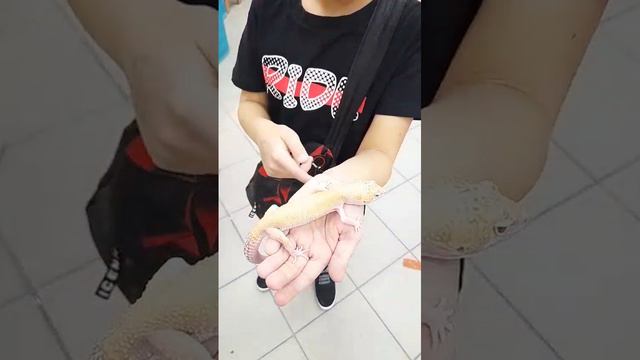 1000004531.mp4