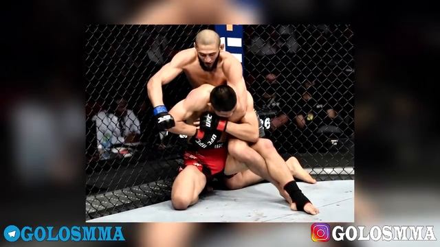 БОЙЦЫ UFC ПРО БОЙ ХАМЗАТА ЧИМАЕВА ХАБИБ КОРМЬЕ СОННЕН ДАНА УАЙТ