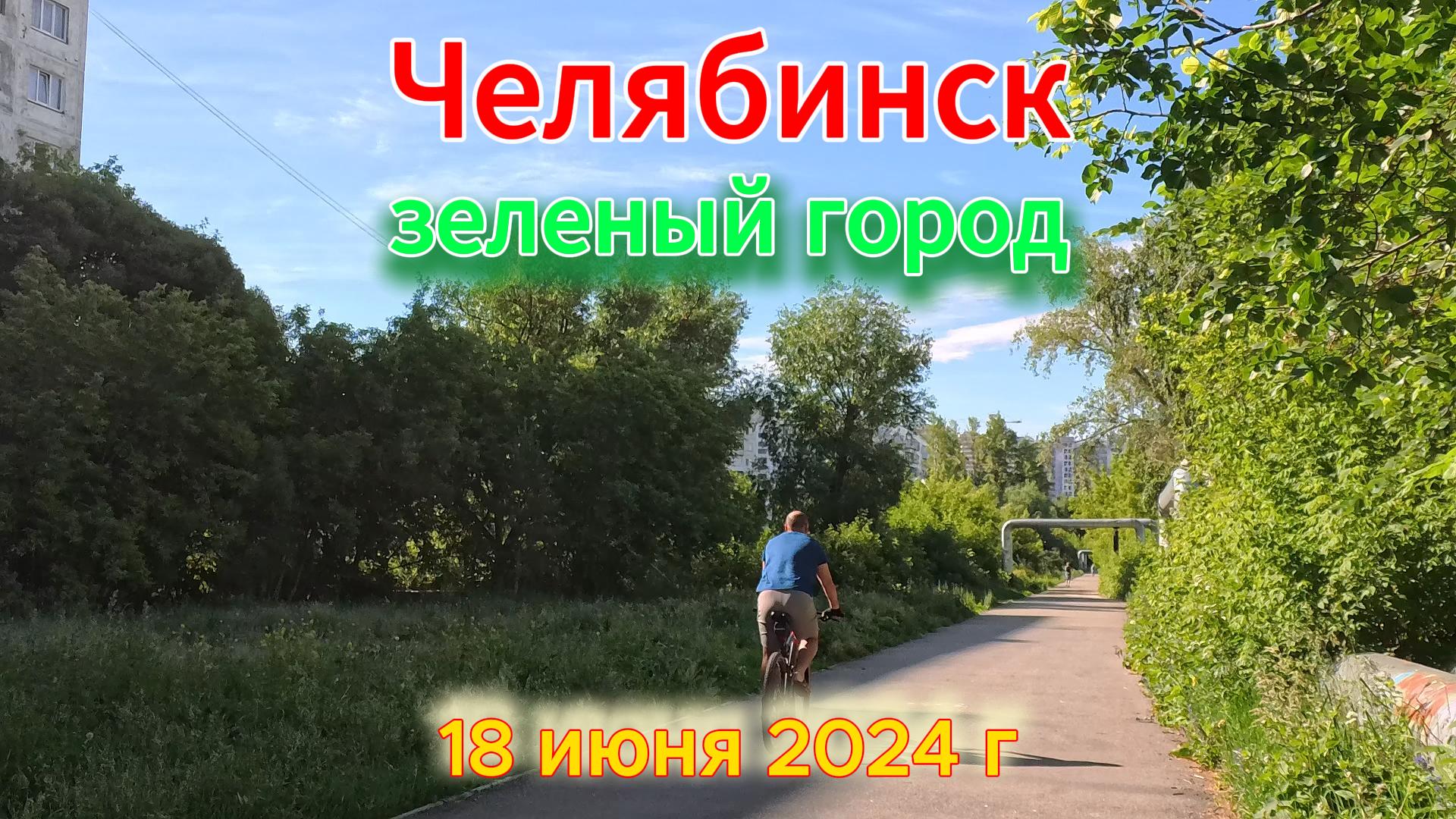 Зеленый город Челябинск в середине июня 18 июня 2024 г