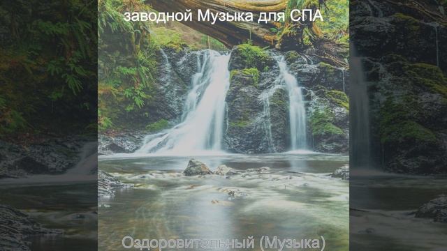 Мечты (спа)