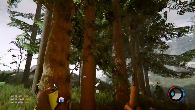 The Forest Base Building!
