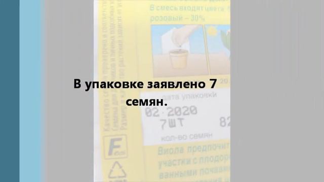 Посев виолы (анютиных глазок).