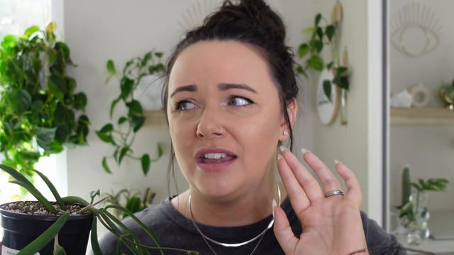 March + April Plant Haul 2023 | Rare Plant Shopping | Wishlist Houseplant Haul 🌿