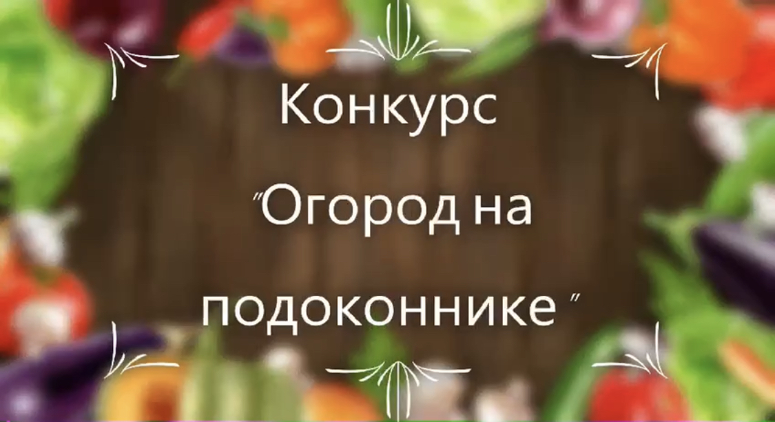 III заочный городской экологический конкурс "Огород на подоконнике" МБДОУ "ДС "Дельфин", средняя гру