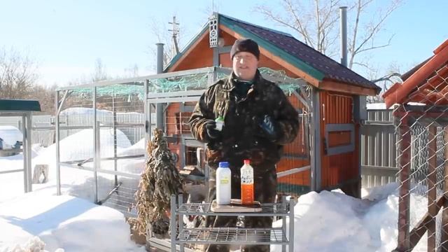 Вот что нужно обязательно  давать курам весной.