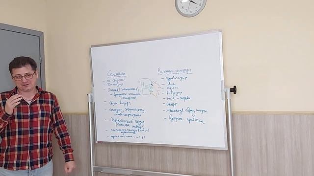 ГРЫЖА ПОЯСНИЧНОГО ДИСКА 1 часть. Причины появления грыжи.  Когда работает остеопат?