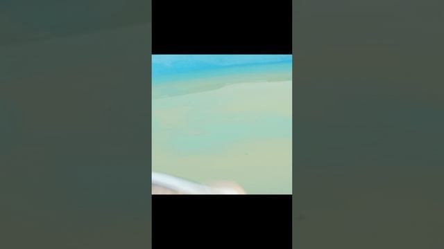 1000003263.mp4