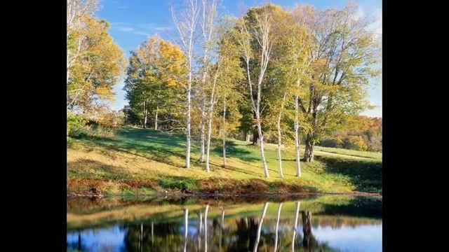 научиться фотографировать цифровым фотоаппаратом