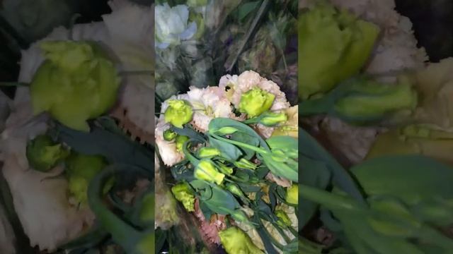 ЦВЕТЫ для флористов(22.10.23) Тбилиси оптовый базар