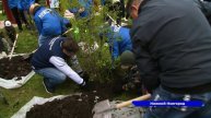 Международная акция «Сад памяти» стартовала в России